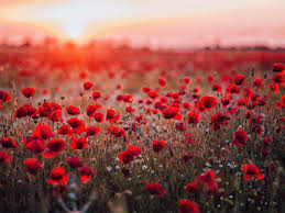 دانلود آهنگ به دو چشم مستت قسم که تو شدی هم نفسم زلیخا محمدشاهوا